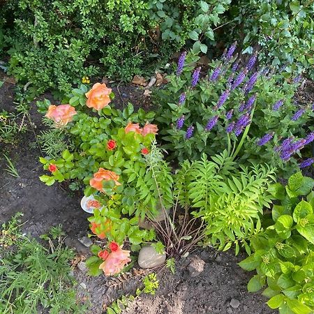 Urlaubsdomizil Norden/Norddeich, Mit Garten Exterior foto